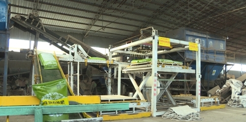 陜西綠恒農業 開足馬力趕訂單 一季度產值突破3000萬元