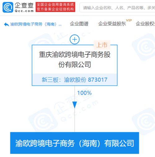 渝歐股份拓展業(yè)務(wù)版圖，新設(shè)跨境電子商務(wù)公司涉足域名注冊與信息服務(wù)